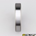 6010-ZZ Bearing