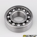 1204 Bearing