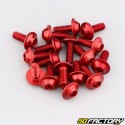 Screws, washers, staples...M5, M6 red (lot)