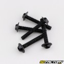 Screws, washers, staples...M5, M6 black (set)