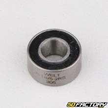 618/5-2RS Bearing