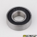 619/9-2RS Bearing