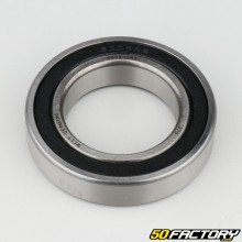 6009-2RS bearing