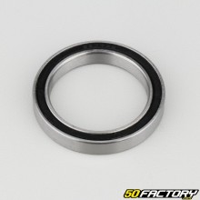 61807-2RS bearing