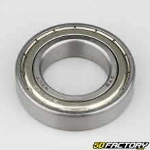 6007-ZZ Bearing