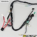 Cablaggio MBK Booster,  Yamaha Bw&#039;s (2004 - 2016) origine