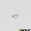 Tornillo de 3x8 mm cabeza BTR clase 8.8 (simple)