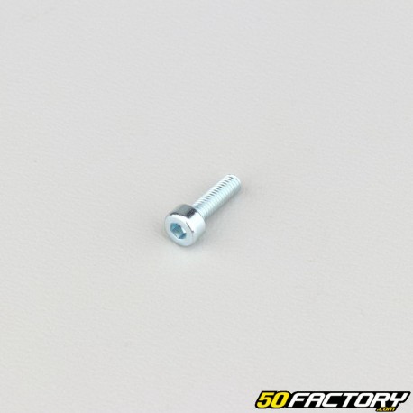 3x10 mm screw BTR head class 8.8 (single)