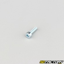 Tornillo de 3x10 mm cabeza BTR clase 8.8 (por unidad)