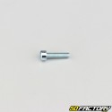 3x12 mm screw BTR head class 8.8 (single)