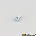 Tornillo de 4x8 mm cabeza BTR clase 8.8 (simple)