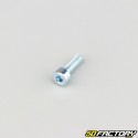 Tornillo de 4x12 mm cabeza BTR clase 8.8 (simple)