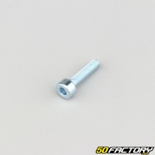 Tornillo de XNUMXxXNUMX mm cabeza BTR clase XNUMX (por unidad)