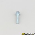 Tornillo de 4x18 mm cabeza BTR clase 8.8 (simple)