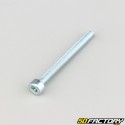 Tornillo de 4x40 mm cabeza BTR clase 8.8 (simple)