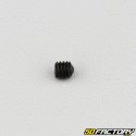 4x4 mm headless screw with pointed end (single)