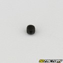 4x4 mm headless screw with pointed end (single)