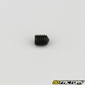 4x5 mm headless screw with pointed end (single)