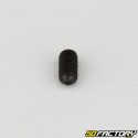 4x8 mm headless screw with pointed end (single)