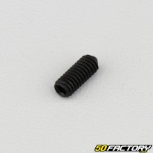 4x10 mm headless screw with pointed end (single)