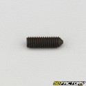 4x12 mm headless screw with pointed end (single)