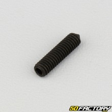 Tornillo sin cabeza de 4x16 mm con extremo puntiagudo (por unidad)