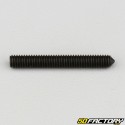 4x30 mm headless screw with pointed end (single)