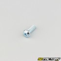 5x16 mm screws rounded head BTR class 10.9 (per unit)