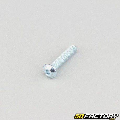 Tornillos de 5x25 mm cabeza redonda BTR clase 10.9 (por unidad)