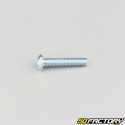 5x25 mm screws rounded head BTR class 10.9 (per unit)