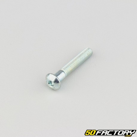 Tornillos de 5x30 mm cabeza redonda BTR clase 10.9 (por unidad)