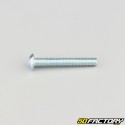 5x35 mm screws rounded head BTR class 10.9 (per unit)