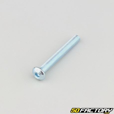 Tornillos de 5x40 mm cabeza redonda BTR clase 10.9 (por unidad)