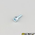 5x14 mm screw BTR head class 8.8 (single)