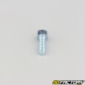 Tornillo de 5x14 mm cabeza BTR clase 8.8 (simple)