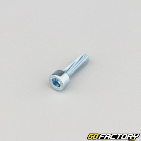 Parafuso 5x18 mm cabeça BTR classe 8.8 (simples)