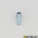 Tornillo de 5x18 mm cabeza BTR clase 8.8 (simple)