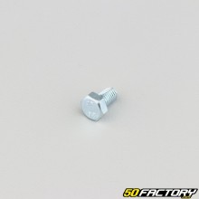 Tornillos de 5x8 mm cabeza hexagonal clase 8.8 (por unidad)