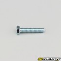 5x25 mm screw hex head class 8.8 (per unit)