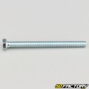 5x60 mm screw hex head class 8.8 (per unit)