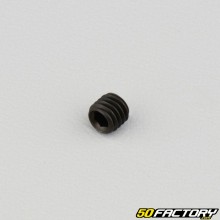 5x5 mm headless screw with pointed end (single)
