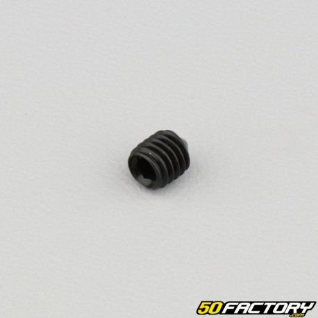5x6 mm headless screw with pointed end (single)