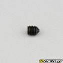 5x6 mm headless screw with pointed end (single)