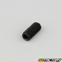 5x12 mm headless screw with pointed end (single)