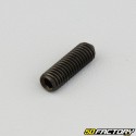 5x16 mm headless screw with pointed end (single)