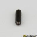 5x16 mm headless screw with pointed end (single)