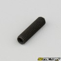 5x20 mm headless screw with pointed end (single)