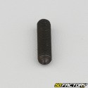 5x20 mm headless screw with pointed end (single)