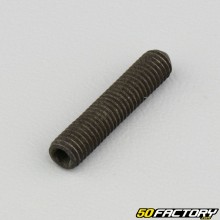5x25 mm headless screw with pointed end (single)