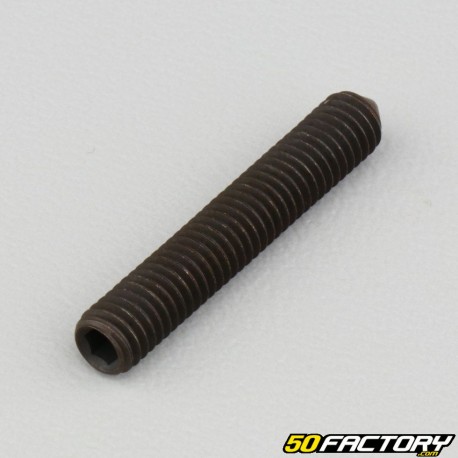 5x30 mm headless screw with pointed end (single)